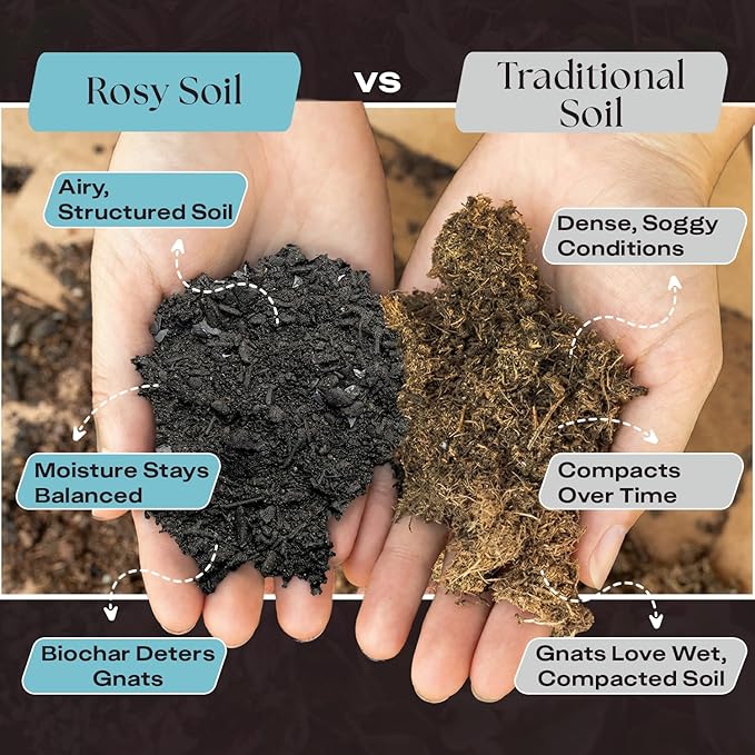 Rosy Soil Indoor Potting Soil for House Plants 2 x 8 qrt - Organic Potting Soil Mix for Indoor Plants -Enriched w/Root-Boosting Biochar for Foliage Plants Flowers Herbs - Pack of 2