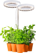 HALO Plant Light - 2 Adjustable LED Rings Warm White Spectrum - LED Grow Lights for Indoor Plants Seed Starting Seedlings Succulents Herbs &amp Vegetables - Plant Lights for Indoor Growing