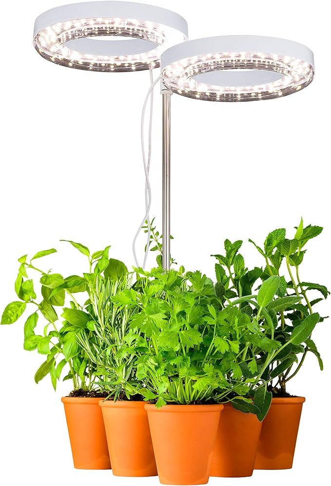 HALO Plant Light - 2 Adjustable LED Rings Warm White Spectrum - LED Grow Lights for Indoor Plants Seed Starting Seedlings Succulents Herbs &amp Vegetables - Plant Lights for Indoor Growing