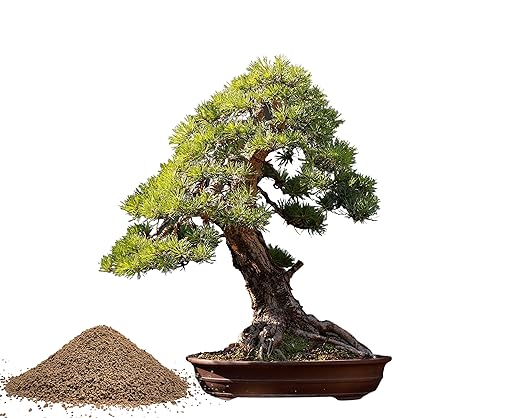 Organic Bonsai Fertilizer by The Bonsai Supply – 3Lbs | Quick Results | Micro Nutrients for Vital Bonsai Health.