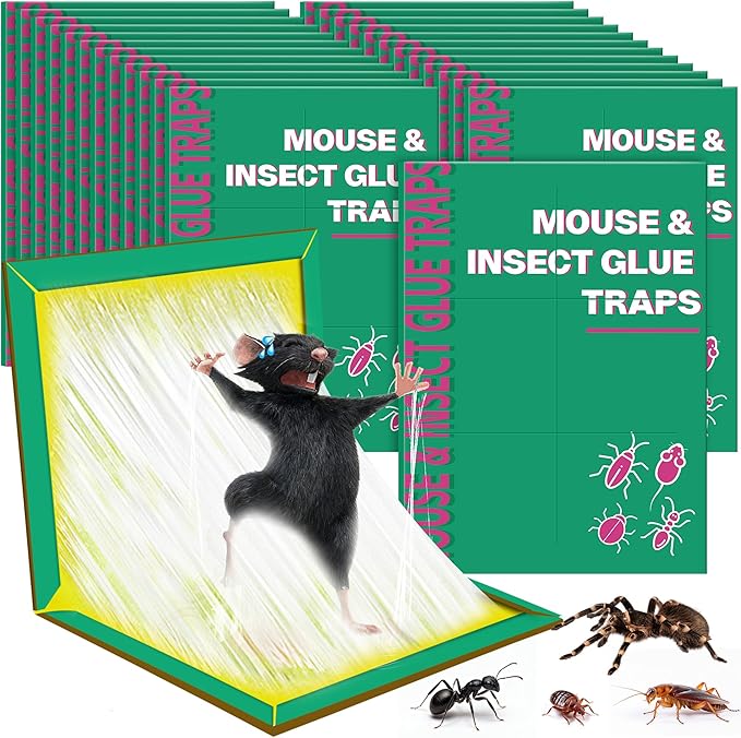 24 Pack Sticky Mouse Traps Sticky Traps for Rats Mice Rodents Snakes No Touch Indoor Mouse Traps for Home Kitchen Garage Attic Basements Easy to Set Green