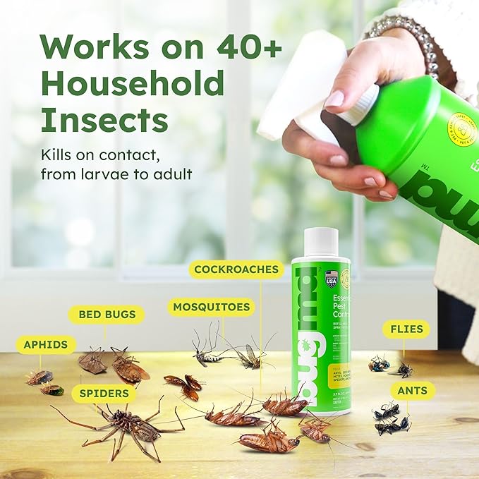BugMD Ant Killer &amp Bug Spray - Roach and Cockroach Killer Indoor Spider Spray for Home Fly and Insect Defense Natural Safe with Essential Oils Plant-Powered Pest Control - Starter Kit