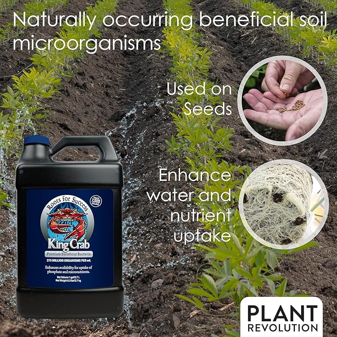 Root Stimulator for Plants King Crab Ultra Concentrated OMRI Organic Bacteria for Plants 275 Million Organisms per ml Roses Tomatoes Houseplants Trees and Succulents 32 oz Makes 1900 Gallons