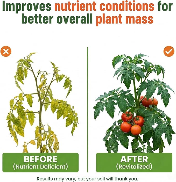 GS Plant Foods Liquid Kelp Fertilizer – Suitable for Organic Growing OMRI Listed Seaweed Concentrate for Lawns Gardens &amp Soil - 55 Gallons