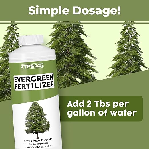 Evergreen Tree Fertilizer – Liquid Plant Food for Rich Green Needles Stronger Roots &amp Healthy Year-Round Growth 32 oz
