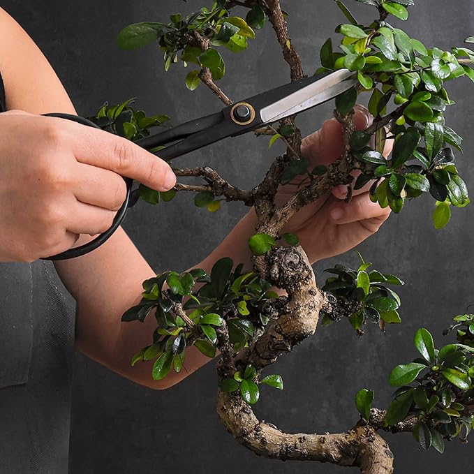 Professional Bonsai Slim Scissors | Pruning Shears for Trimming Plants | Japanese Gardening Bonsai Tools | Garden Scissors