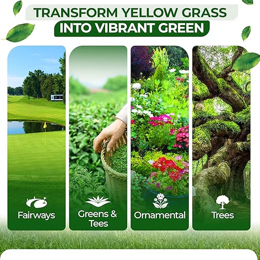 Five Star LQ Iron 12-0-0 Liquid Fertilizer for Rapid Green-Up &amp Chlorosis Correction - Perfect Nitrogen Fertilizer with 6% Iron 2% Manganese &amp Low pH for Turf Trees &amp Ornamentals - 2.5 G