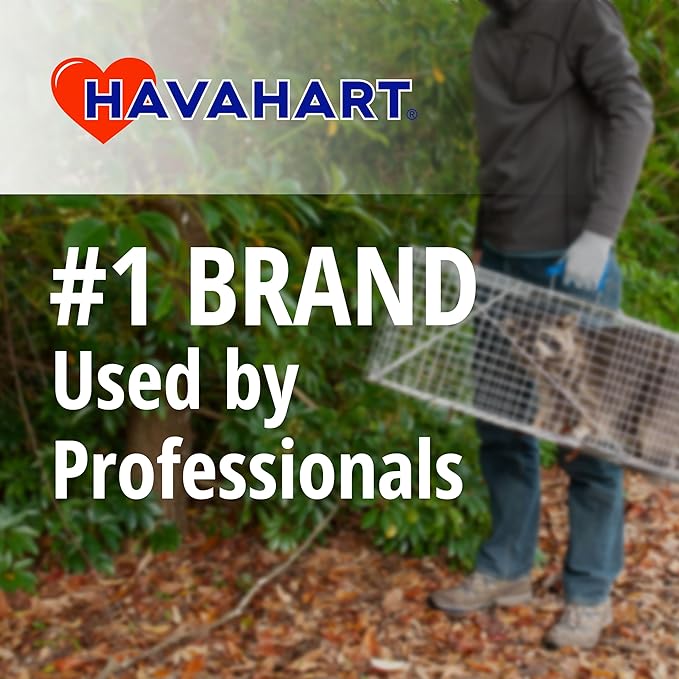 HAVAHART 1079SR Large 1-Door Humane Catch and Release Live Animal Trap Cage - Live Raccoon Trap for Bobcats Beavers Dogs &amp More