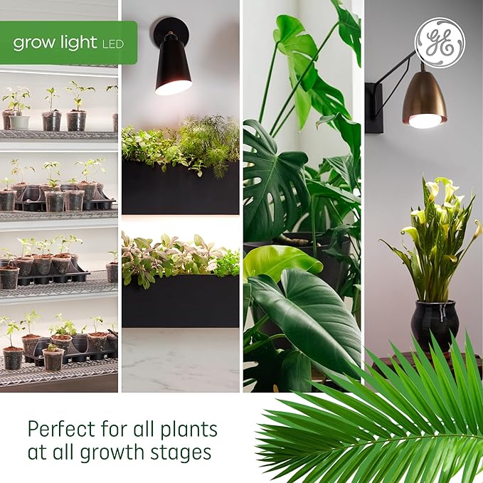 GE Grow Lights for Indoor Plants T8 LED Light Bulbs for Flowers and Fruit with Advanced Red Light Spectrum 25000 Hours Lifespan 34 PPF 48 Inches 6 Pack (Packaging May Vary)