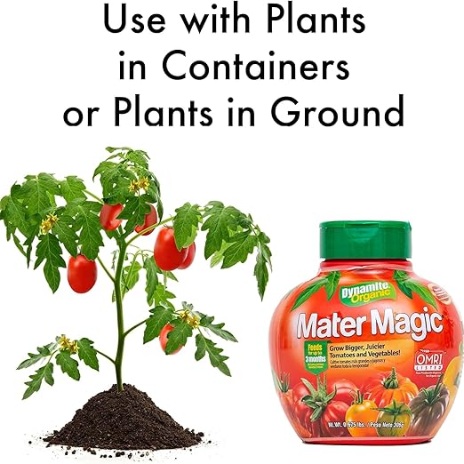 Dynamite Natural and Organic Mater Magic Plant Food 0.675-Pound (4 Qty)