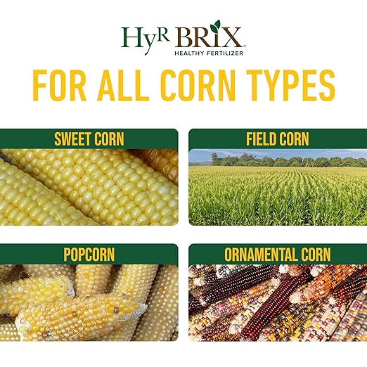 HyR BRIX Slow-Release 16-7-10 Sweet Corn Fertilizer 20lb Bucket - Corn Food with Calcium &amp Sulfur - Essential Micronutrients for Big Uniform Ears &amp Sweet Flavor