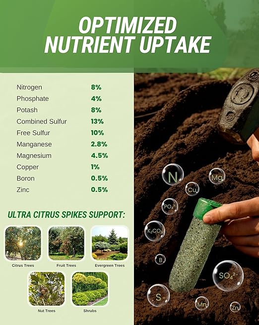 Ultra Citrus Tree Fertilizer Spikes Pack of 125 - Fertilizer Sticks &amp Plant Food Spikes for Oak Maple Birch &amp Pine Trees - Contains Nitrogen Phosphate Potash and Sulfur