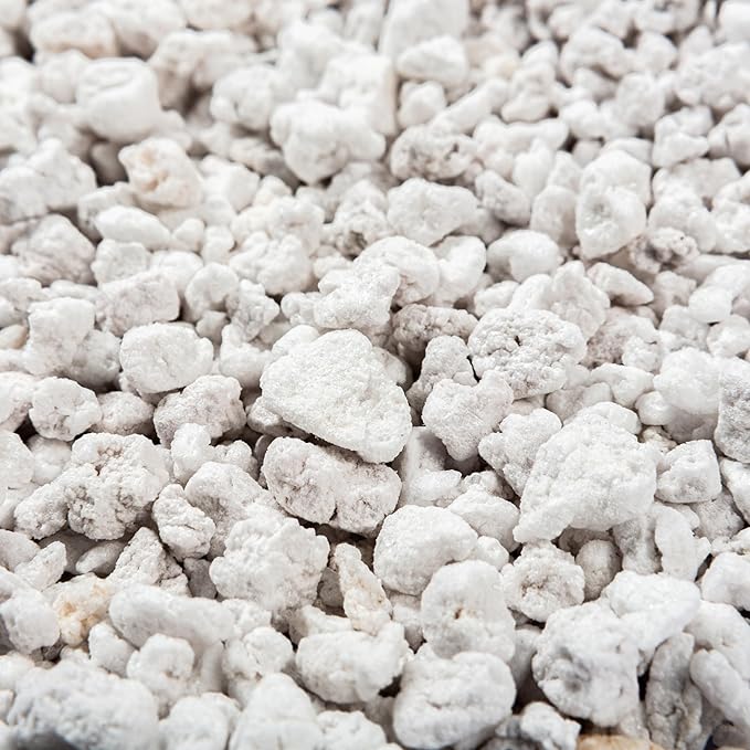 Perlite Bliss (16 Qts) - Organic Perlite for Plants Indoor Soil Amendment - Horticultural Perlite for Gardening &amp Seed Starting - Mixes Easily with Potting Soil Vermiculite &amp Coco Coir for P