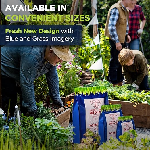 KMS 0-0-21.5 (Potassium Magnesium Sulfate) Fertilizer - Plant Food - The Best for Low Magnesium Soils Prone to Nutrient Loss - Ideal for Lawns Garden Vegetable and Fruit Crops (25 Pounds)