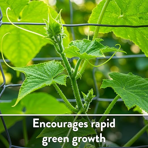 Down To Earth All Natural Fertilizers Organic Blood Meal - High Nitrogen Plant Food for Green Growth 12-0-0 4 lb