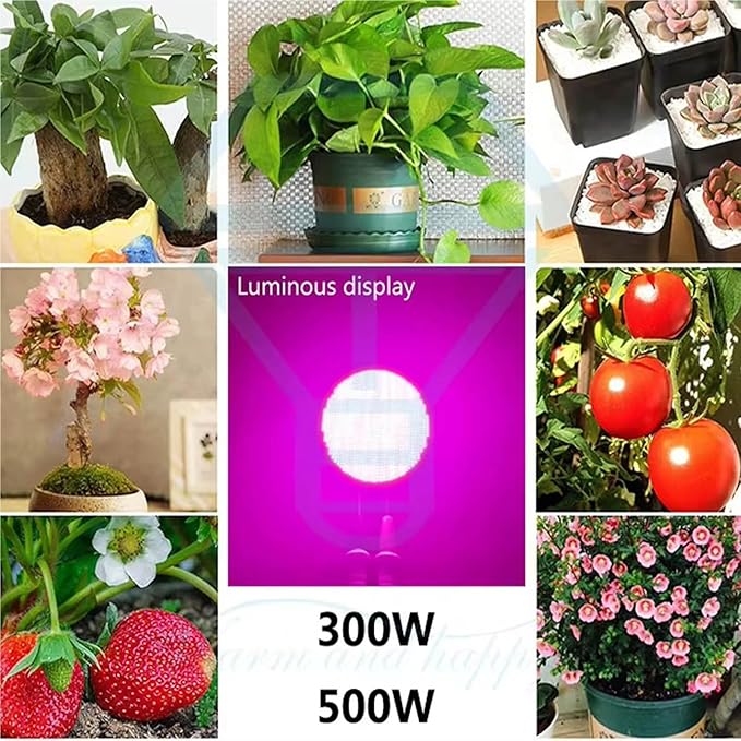 500W LED Grow Plant COB Chip LED phytolamp 300W Full Spectrum Light DC30-34V for Outdoor Plant and Flower Greenhouse Lighting(Plant Light 300W)