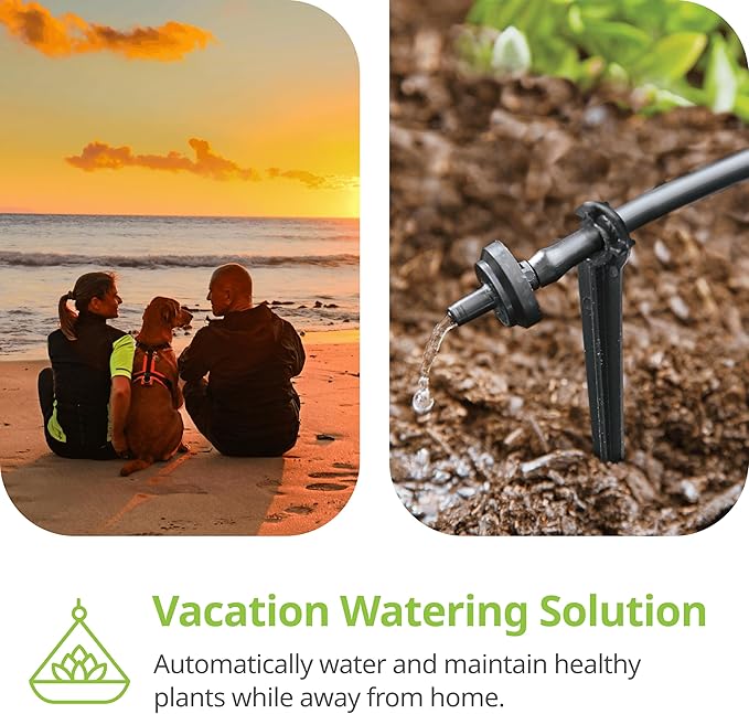 Raindrip R560DP Drip Watering System Automatic Drip Irrigation System with Timer for Containers and Hanging Baskets Waters up to 20 Plants Includes 20 Drippers Black