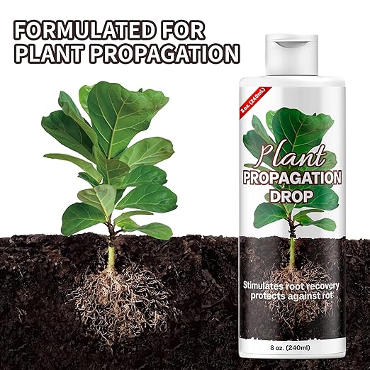 Plant Propagation Drops Prop Solution for Healthier Roots &amp Recovery of Struggling Houseplants 8oz.