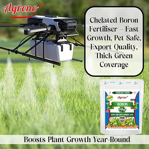 Agreno® Chelated Boron - 20% EDTA Powerful Essential Organic Fertilizer for Fast Growth of All Plants. (450 gm)