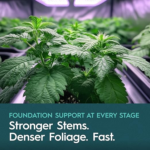 Powder A Vegetative Base Nutrient for Strong Growth Calcium and Nitrogen Water-Soluble and Clean for Hydroponics Soil and Coco 25 lb Bag