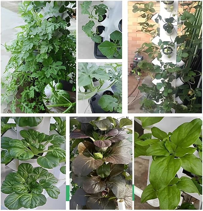 Hydroponics Growing System 64 Holes Herb Growing Kit with Pump Vertical Grow Tower Growing Indoor Gardening System for Herbs Fruits and Vegetables
