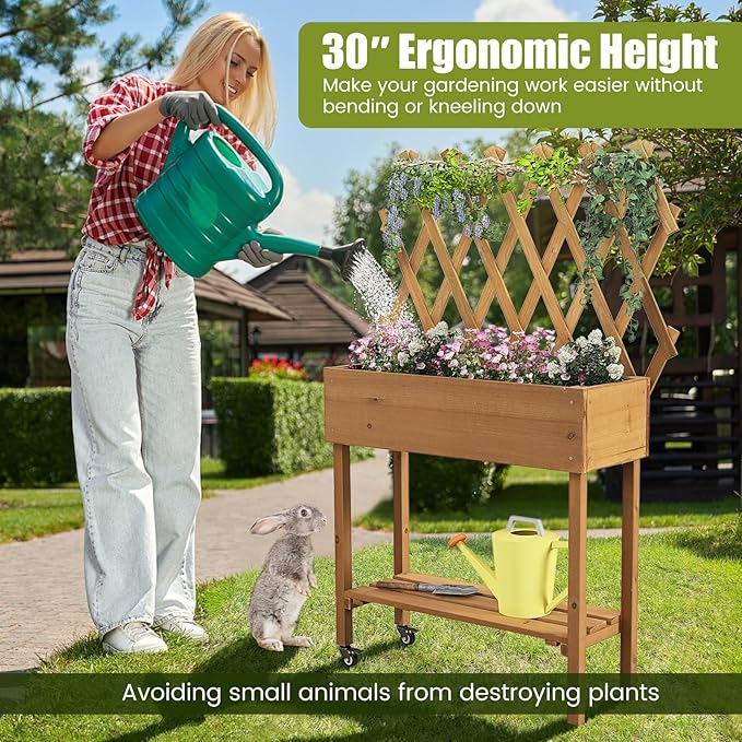 Raised Garden Bed with Trellis Fir Wood Elevated Planter Bed with Legs 2 Lockable Wheels &amp Storage Shelf Wooden Planter Box Raised Bed for Gardening Backyard Balcony &amp Greenhouse
