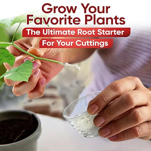 Hormex Rooting Powder #1 3 8 (0.10-0.8 IBA) - Rooting Hormone for Delicate &amp Common Houseplants Semi-Hardwood Medicinal Plants &amp Tree Cuttings - Root Stimulator for Plant Cloning &amp Pr