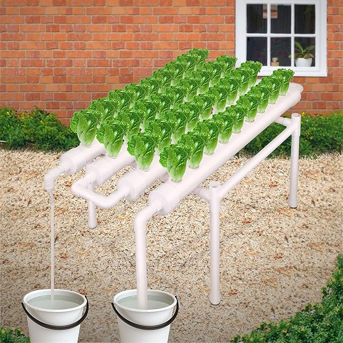 Hydroponics Growing System 36 Holes Culture Garden Plant System with Water Pump Water Culture Plant Growing System for Leafy Vegetables