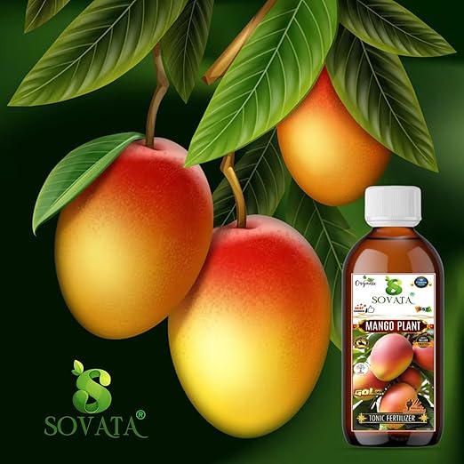 Sovata® Mango Tonic Fertilizer Essential Organic Powerful Liquid Tonic for Fast Growth and Heavy Fruiting of Mango Plants. (200 ml)