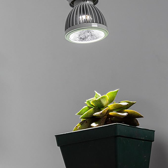 Clip Mount 5.9Ft Plug in Timing Cord Plant Light Full Spectrum White Light White Base White Metal Lampshade Adjusted Angle Simple Clamp Light for Indoor Plants
