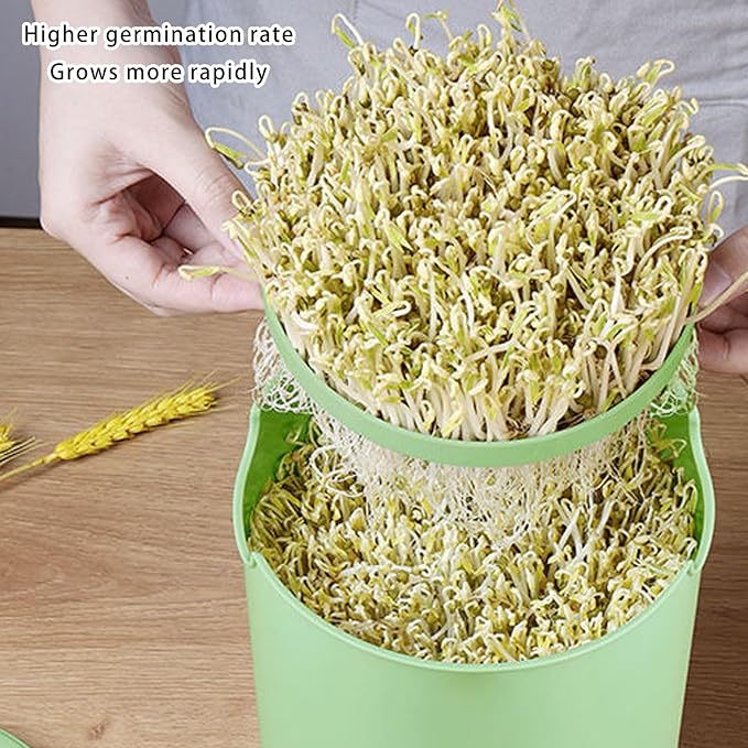 Easy to Use Automatic Sprouts Maker Simple Three Step Operations Year Round Cultivation Natural Germination Methods User Friendly Sprouting Machine