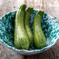 Eden Brothers Squash (Summer) Seeds - Caserta Non-GMO Seeds for Planting 1/4 lb | Low-Maintenance Vegetable Seeds Plant During Warm Season Zones 10 3 4 5 6 7 8 9
