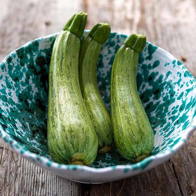 Eden Brothers Squash (Summer) Seeds - Caserta Non-GMO Seeds for Planting 1/4 lb | Low-Maintenance Vegetable Seeds Plant During Warm Season Zones 10 3 4 5 6 7 8 9