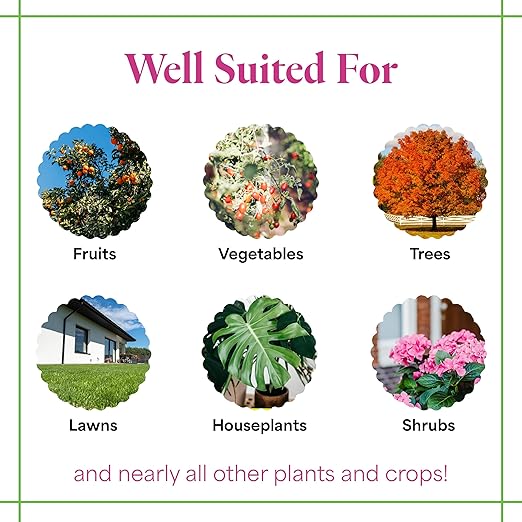 Grow More All-Season's Plant Food (20-20-20 Fertilizer) - 5lbs of All Purpose Fertilizer - Water Soluble Food for Houseplants &amp Outdoor Plants with Chelated Micronutrients