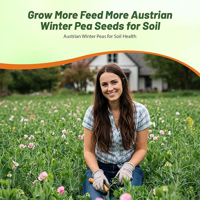 Outsidepride Austrian Winter Peas Seeds for Planting – 50 lbs Bag (Cool-Season Cover Crop High-Protein Deer Food Plot Seed) Field Peas Cover Crop Seeds Spring Mix for Soil Health &amp Forage