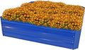 Sunnydaze Galvanized Raised Garden Bed - Metal Raised Bed for Gardening - Outdoor Planter Box for Flowers Plants and Vegetables - Blue - 12” H Square