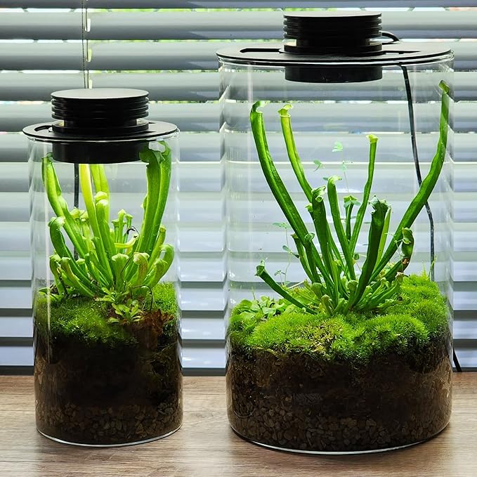 Glass Terrarium Plant Growing Lamp for Vases Up to 5.9 Inches in Diameter Light with Timer Auto On/Off Betta Fish Tank Indoor Plant Growth Succulent Miniature Gardening Landscape (10W 5.9IN)