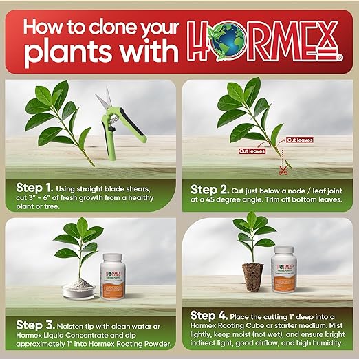 Hormex Rooting Hormone Powder #3 (0.30% IBA) for Common Houseplants Flowers &amp Garden Varieties - Starter Strength Root Stimulator &amp Growth Hormone for Plant Cuttings Cloning &amp Propagati