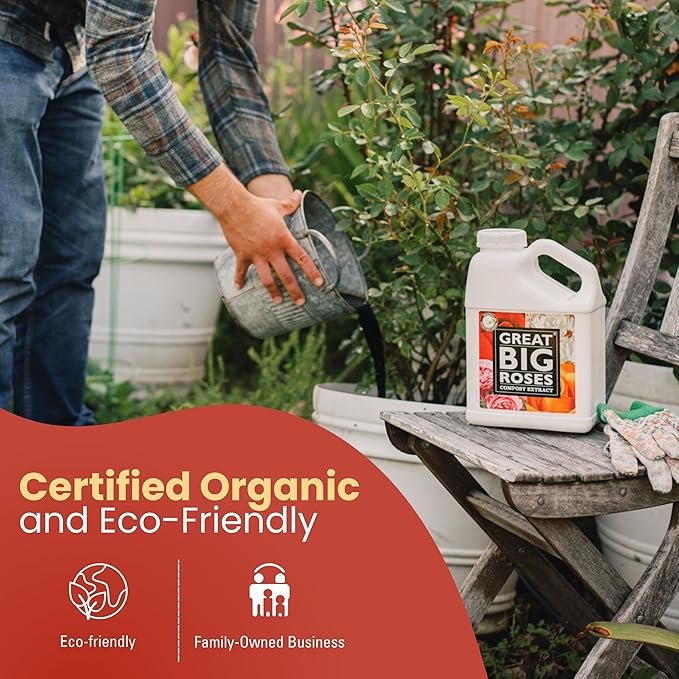 Great Big Roses – Soil and Rose Fertilizer Booster to Grow The Best Roses and Flowers Rose Food Compost Extract for Rose Bush 2.5 Gallon Concentrate (Makes 80 Gallons)