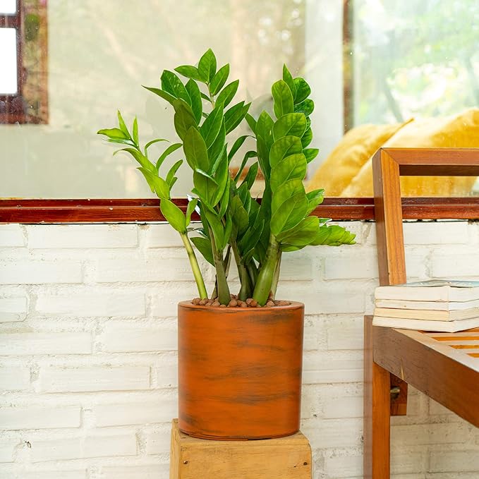 7.8 in. Painted Plastic Self Watering Planter Pot