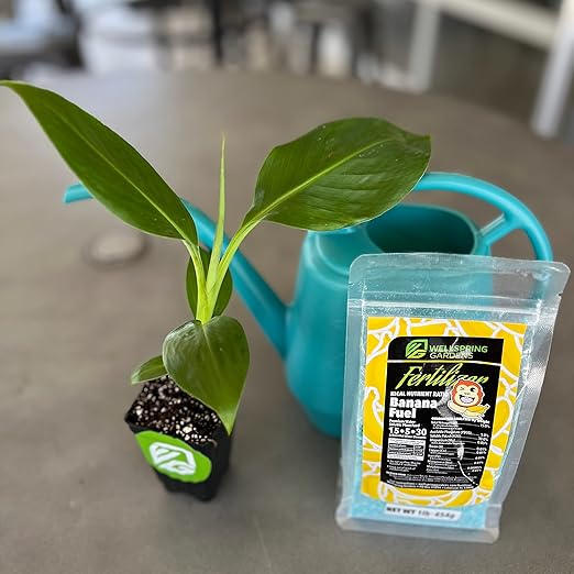 Wellspring Gardens Banana Fuel Fertilizer - Water-Soluble 15-5-30 Blend - Banana Plant Fertilizer - Plant Food - Formula for Banana Trees &amp Plants - Grow Healthy and Happy Plants (1 Pound)
