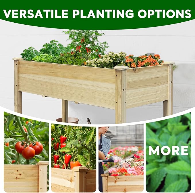 BSP Raised Garden Bed with Legs Outdoor Elevated Planter Box Flower Bed Wood Planter for Vegetable Herb Upgraded Solid Structure Growing Box Suitable for Backyard Patio and Balcony 48”L X 24”W