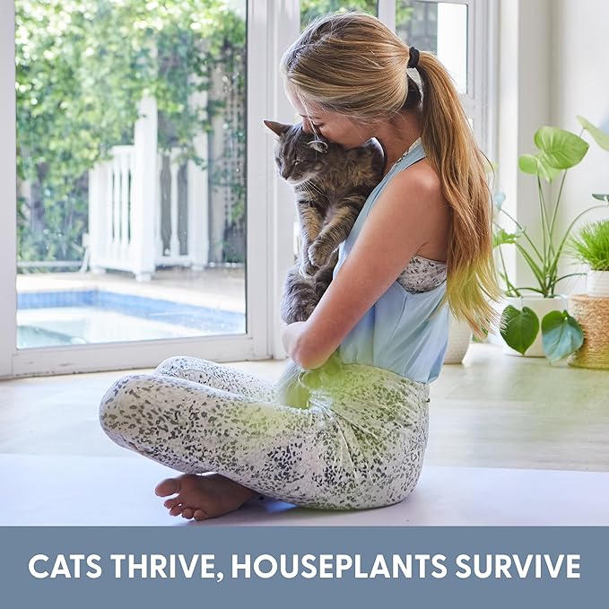 The Cat Ladies Cat Grass Growing kit with Organic Cat Grass Seed Soil and Two Ceramic Planters with Bamboo Trays Natural Hairball Remedy
