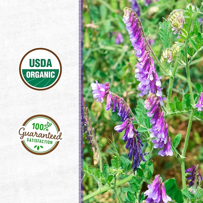 Back to The Roots 100% Organic Hairy Vetch Cover Crop Seeds Covers ~1000 sq. ft.