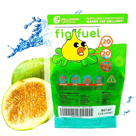 Wellspring Gardens Fig Fuel Fertilizer - Water-Soluble 20-20-20 Blend for Fig Trees Fruit &amp Plant - Plant Food for Healthy Growth &amp Leaves - 1 Pound