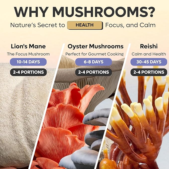 Smart Mushroom Growing Kit – Harvest in 7 Days | Grow Lion’s Mane Reishi &amp Rare Mushrooms You Can't Buy Anywhere Else | AI-Powered Humidity O2 and Lighting + Timelapse Camera | Matte Black