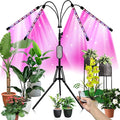 DOOK Grow Light with Stand Full Spectrum Plant Grow Lights for Indoor Plants 3 Switch Modes 10 Dimmable Levels Adjustable Tripod Stand &amp Gooseneck Auto On/Off Timer