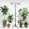 Grow Light 5500K (160 Watts Equiv) White Full Spectrum Plant Growing Lamp for Indoor PlantsLED Bulbs Replaceable