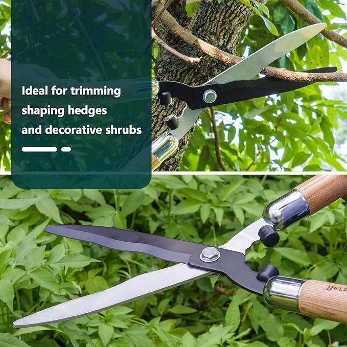 Berry&ampBird Garden Hedge Shears19.88''Heavy Duty Pruning Shear for Trimming Borders and Bushes Manual Hedge Clippers with Wooden Handles &amp Carbon Steel Sharp Blades Gardening Scissors