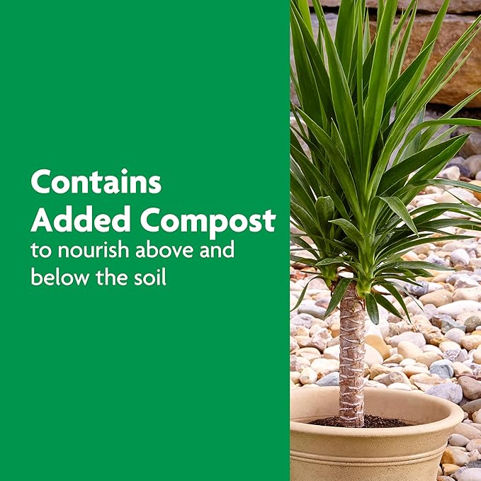 Miracle-Gro Shake 'N Feed Palm Plant Food For Container and In-Ground Plants Palm Trees Cycads and Tropical Plants 4.5 lbs.